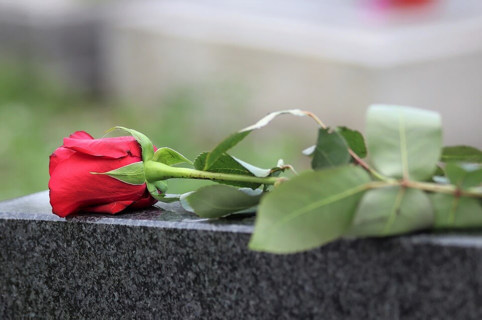 cremation services in Clearwater, FL