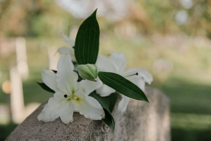 St. Petersburg, FL, cremation services