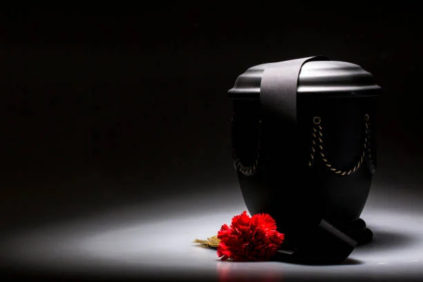 Cremation services in St. Petersburg, FL