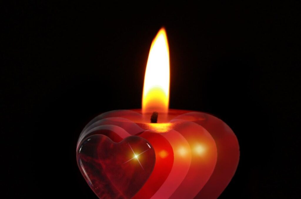 cremation services St. Petersburg, FL