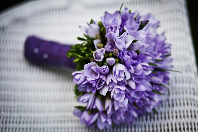 cremation services Clearwater, FL