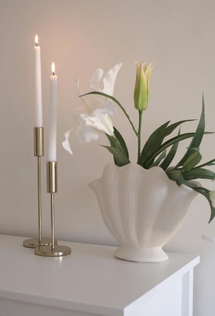 cremation services Clearwater, FL