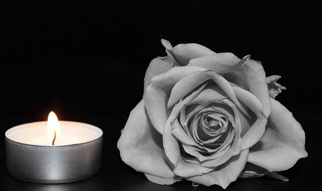 cremation services St. Petersburg, FL