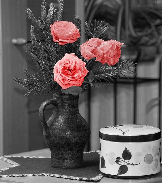 cremation services Clearwater, FL