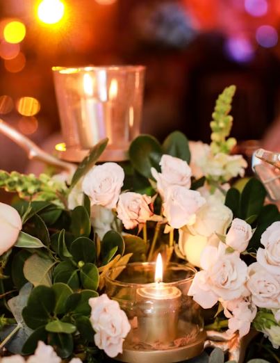 cremation services St. Petersburg, FL