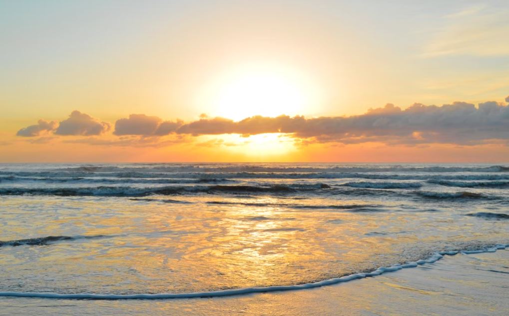 cremation services Clearwater, FL