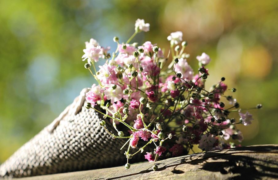 cremation services Clearwater, FL