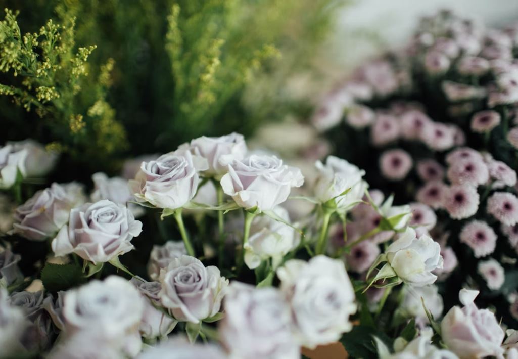 cremation services Clearwater, FL