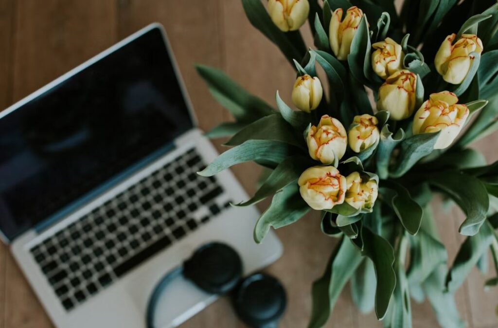 cremation services St. Petersburg, FL