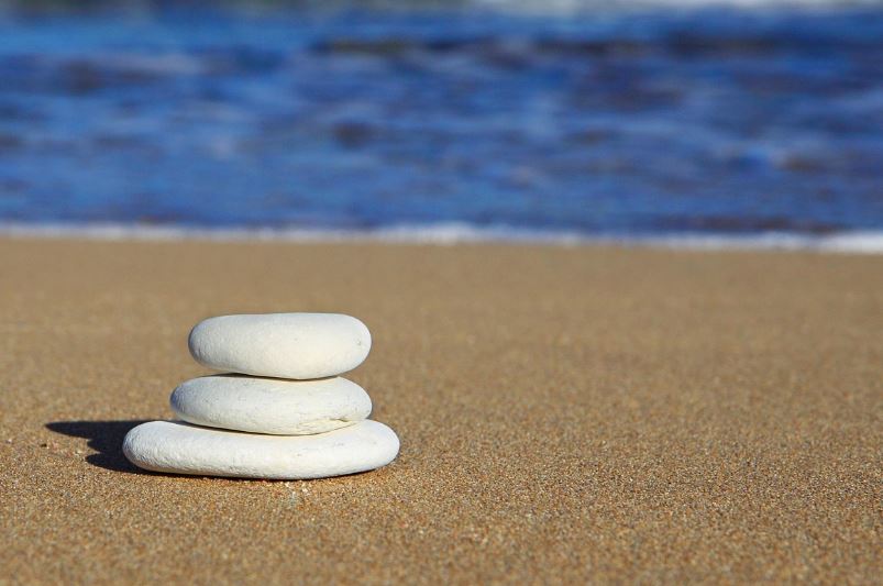 cremation services St. Petersburg, FL