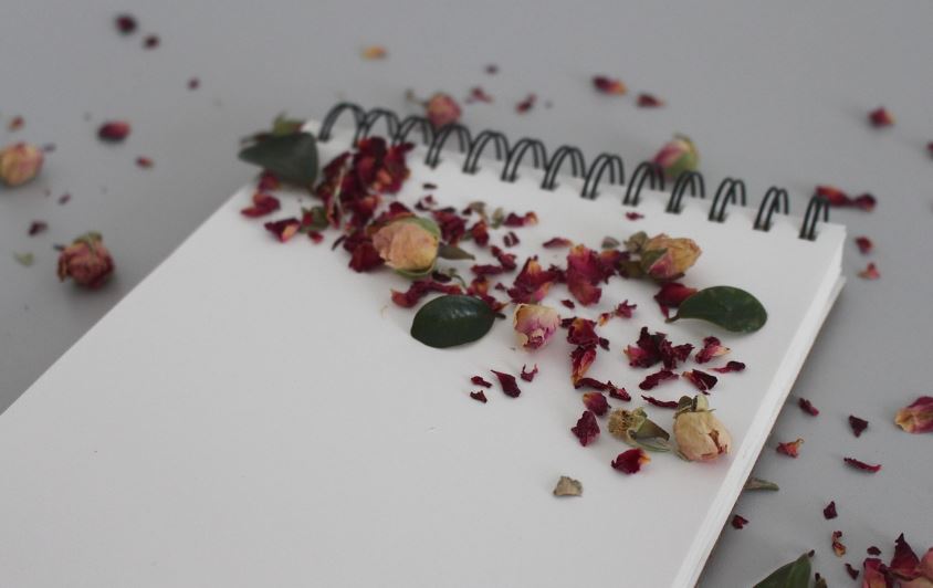 Dry rosebuds and scattered petals on a blank notebook page, cremation services Clearwater, FL